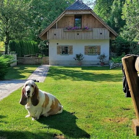 Vila Jana Radovljica Eksteriør billede