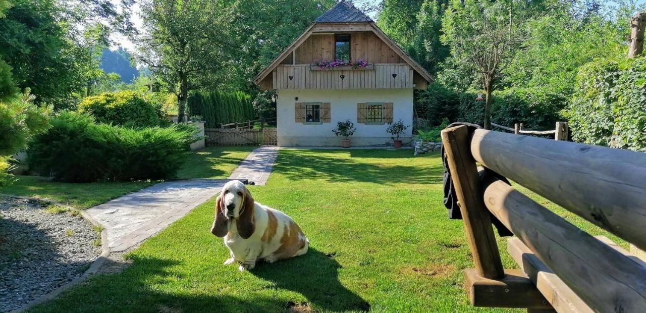 Vila Jana Radovljica Eksteriør billede
